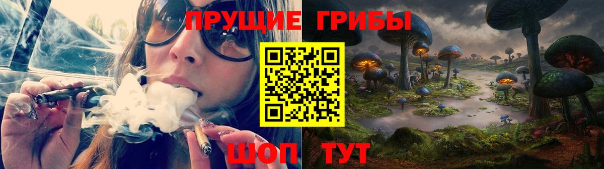 Галлюциногенные грибы Psilocybe Сарапул