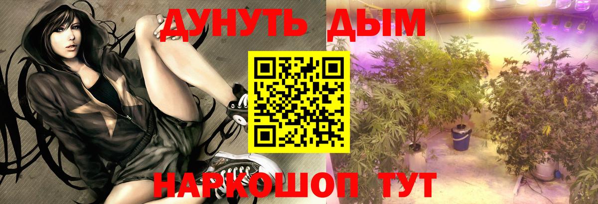 Шишки марихуана сатива  Вход с VPN  Сарапул  Конопля Ganja 